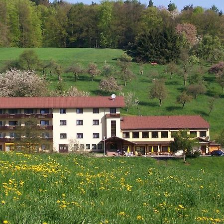 Dornroeschen Hotell Höchst im Odenwald Eksteriør bilde