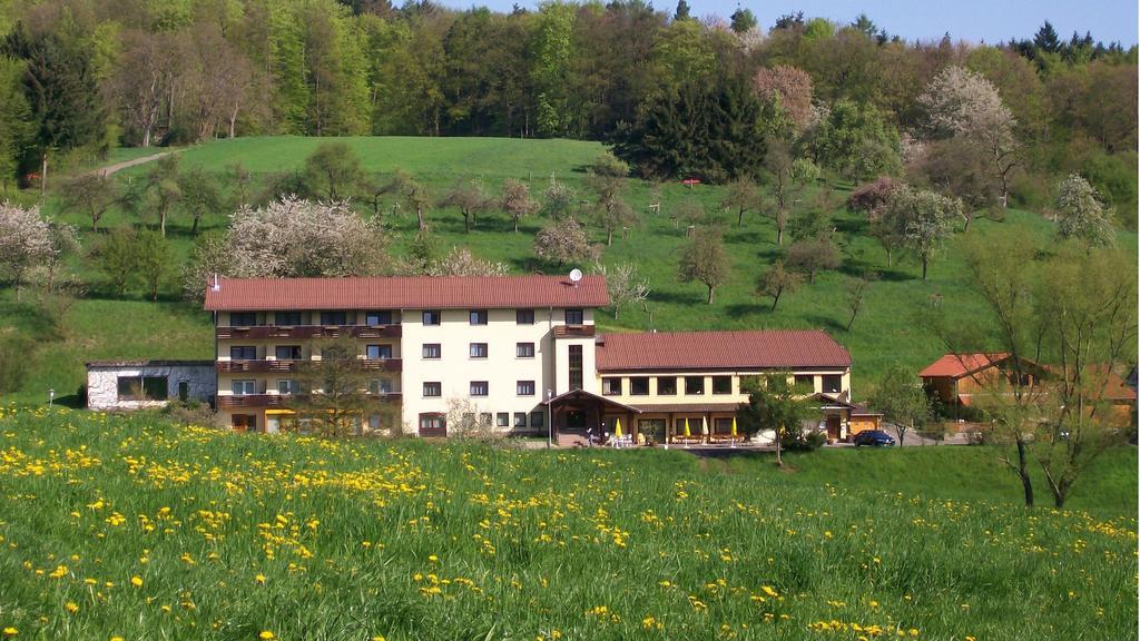 Dornroeschen Hotell Höchst im Odenwald Eksteriør bilde